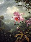 Martin Johnson Heade Famous Paintings - Hummingbird Perched on an Orchid Plant